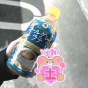 ろはん こんばんにゃ🐱 MAHARAJA(マハラジャ)千葉