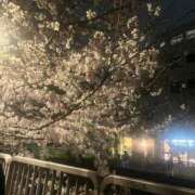 ヒメ日記 2026/04/01 11:17 投稿 ろはん MAHARAJA(マハラジャ)千葉