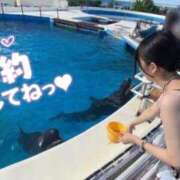 ヒメ日記 2025/10/07 07:31 投稿 みむ 山梨　デリヘル No.1 『Sコレクション』 甲府