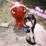 ヒメ日記 2025/10/16 03:37 投稿 みむ 山梨　デリヘル No.1 『Sコレクション』 甲府