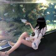 ヒメ日記 2025/10/17 00:41 投稿 みむ 山梨　デリヘル No.1 『Sコレクション』 甲府