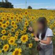 ヒメ日記 2025/08/30 19:06 投稿 かれん 制服これくしょん