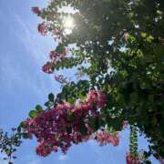 ヒメ日記 2025/07/23 08:01 投稿 ふみ 千葉人妻セレブリティ（ユメオト）