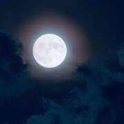 ヒメ日記 2025/08/09 07:50 投稿 ふみ 千葉人妻セレブリティ（ユメオト）