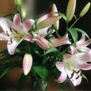 ヒメ日記 2025/08/23 08:20 投稿 ふみ 千葉人妻セレブリティ（ユメオト）