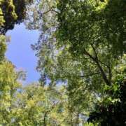 ヒメ日記 2025/08/29 06:20 投稿 ふみ 千葉人妻セレブリティ（ユメオト）