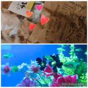 ヒメ日記 2025/09/06 22:17 投稿 ふみ 千葉人妻セレブリティ（ユメオト）