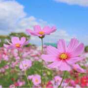 ヒメ日記 2025/09/12 12:22 投稿 ふみ 千葉人妻セレブリティ（ユメオト）