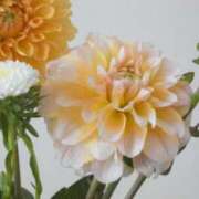 ヒメ日記 2025/09/25 21:40 投稿 ふみ 千葉人妻セレブリティ（ユメオト）