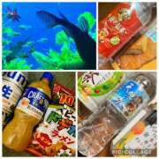 ヒメ日記 2025/10/04 23:08 投稿 ふみ 千葉人妻セレブリティ（ユメオト）