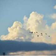 ヒメ日記 2025/10/10 19:48 投稿 ふみ 千葉人妻セレブリティ（ユメオト）