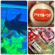 ヒメ日記 2025/10/19 21:48 投稿 ふみ 千葉人妻セレブリティ（ユメオト）