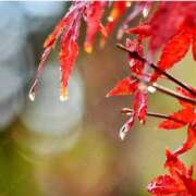 ヒメ日記 2025/10/30 23:43 投稿 ふみ 千葉人妻セレブリティ（ユメオト）