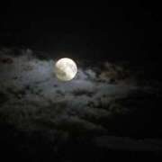 ヒメ日記 2025/11/05 21:19 投稿 ふみ 千葉人妻セレブリティ（ユメオト）