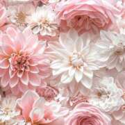 ヒメ日記 2025/07/11 17:22 投稿 みい 君とふわふわプリンセスin熊谷