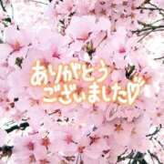 ヒメ日記 2025/07/14 21:01 投稿 ちさ ちゃんこ長野塩尻北IC店