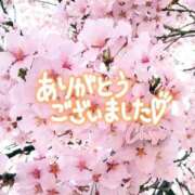 ヒメ日記 2026/04/12 21:01 投稿 ちさ ちゃんこ長野塩尻北IC店