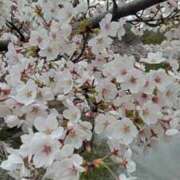 ヒメ日記 2026/04/25 10:45 投稿 ちさ ちゃんこ長野塩尻北IC店