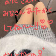 ヒメ日記 2025/11/25 19:02 投稿 しき かりんと秋葉原