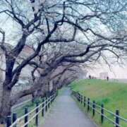 ヒメ日記 2026/03/27 17:29 投稿 ほのみ 白いぽっちゃりさん五反田店