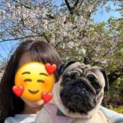 ヒメ日記 2025/07/30 01:26 投稿 みずき 東京人妻セレブリティ（ユメオト）