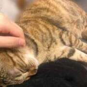 ヒメ日記 2025/09/04 23:50 投稿 なる 大阪はまちゃん日本橋店