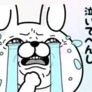 ヒメ日記 2025/09/11 04:59 投稿 りんか　何も分からない㊙ウォンナ よかろうもん下関本店