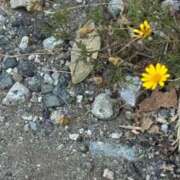 ヒメ日記 2025/09/01 11:32 投稿 あやか 池袋しろパラ