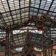 ヒメ日記 2025/11/13 14:11 投稿 あやか 池袋しろパラ