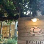 ヒメ日記 2025/12/25 11:32 投稿 あやか 池袋しろパラ