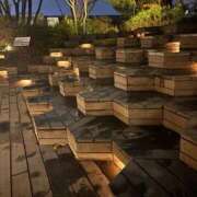 ヒメ日記 2026/02/14 08:08 投稿 あやか 池袋しろパラ