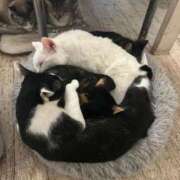 ヒメ日記 2025/07/08 07:15 投稿 みつは club Ego