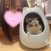 ヒメ日記 2025/09/01 22:25 投稿 まな スピード難波店