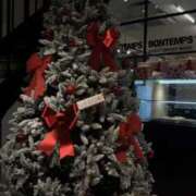 ヒメ日記 2025/12/20 10:24 投稿 まな スピード難波店