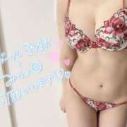 ヒメ日記 2025/08/18 20:31 投稿 海老原れむ Finemotion