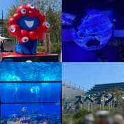 ヒメ日記 2025/09/08 19:34 投稿 のどか 京都出張メンズエステChou Chou（シュシュ)