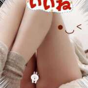 ヒメ日記 2025/10/14 19:25 投稿 もも ハニークラブ 新宿店