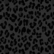 ヒメ日記 2025/09/26 01:20 投稿 せいら Ｓ＆Ｍ極嬢