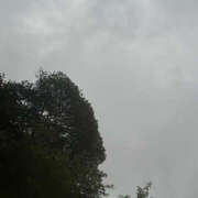 ヒメ日記 2025/09/16 05:26 投稿 らん ハピネス東京