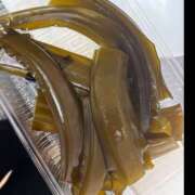 らん ハマってます🤭 ハピネス東京