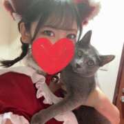 ヒメ日記 2026/04/04 13:47 投稿 らん ハピネス東京