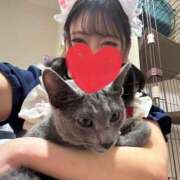 ヒメ日記 2026/04/21 10:47 投稿 らん ハピネス東京