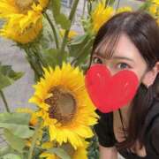 らん 夏っぽいことしてないなー🌻 ハピネス東京
