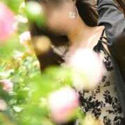 ヒメ日記 2025/07/12 16:59 投稿 七沢ななせ【特A】 PLAY