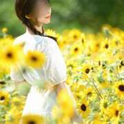 ヒメ日記 2025/08/09 19:15 投稿 七沢ななせ【特A】 PLAY