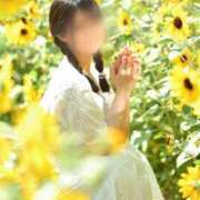 ヒメ日記 2025/08/13 13:04 投稿 七沢ななせ【特A】 PLAY