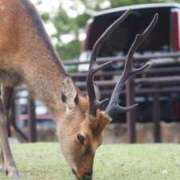 ヒメ日記 2025/08/25 23:15 投稿 七沢ななせ【特A】 PLAY