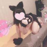 ヒメ日記 2025/08/01 07:01 投稿 佐藤ちほ PLAY