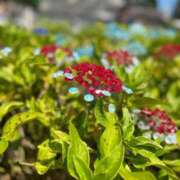 ヒメ日記 2025/07/21 07:29 投稿 水沢のあ PLAY