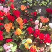 ヒメ日記 2025/07/23 12:04 投稿 水沢のあ PLAY